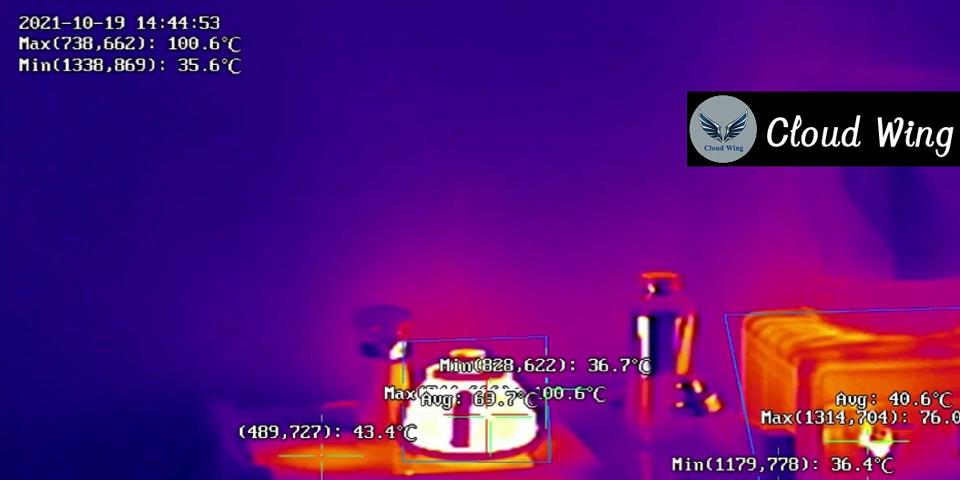 Industrial Online Temperature Measurement